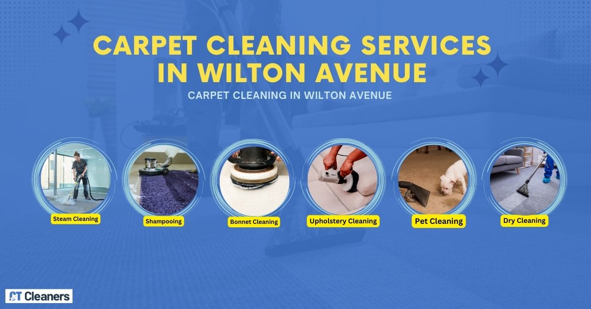 Carpet Cleaning in Wilton Avenue Canva