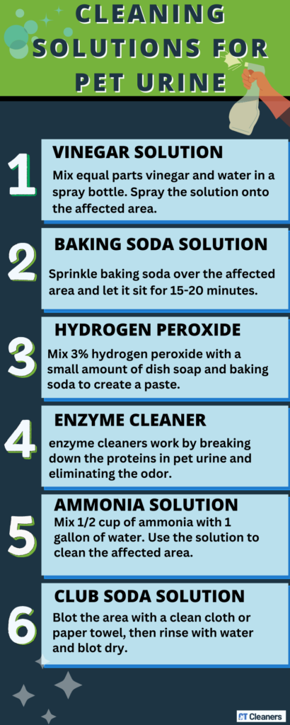 Cleaning Solutions for Pet Urine