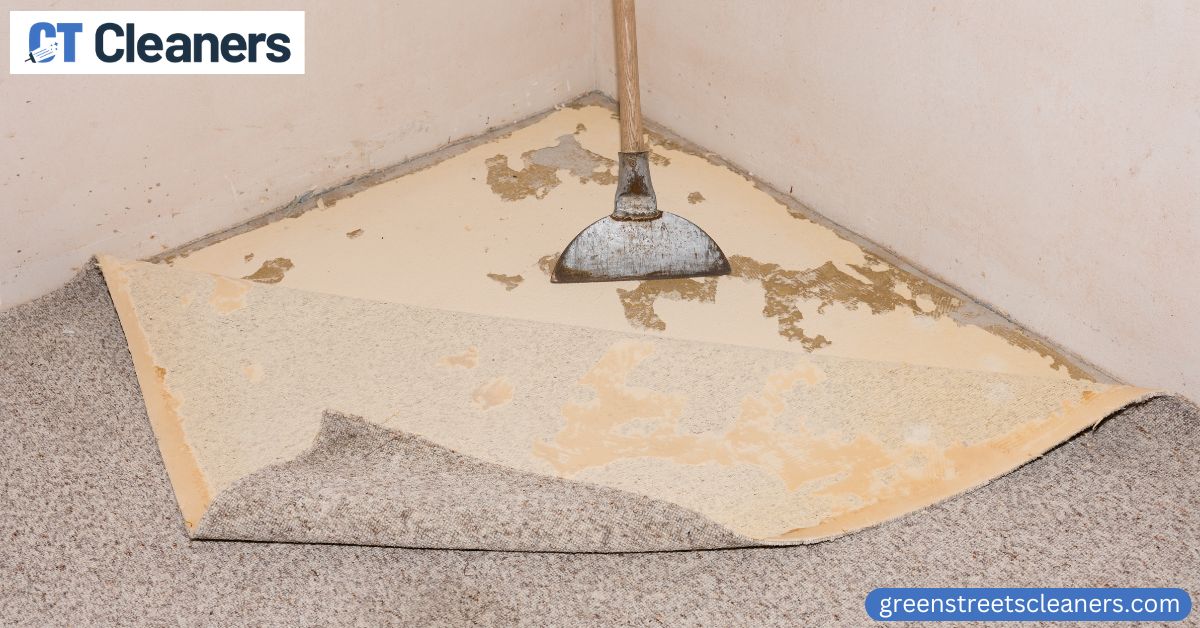 Flooded Carpet Cleaning