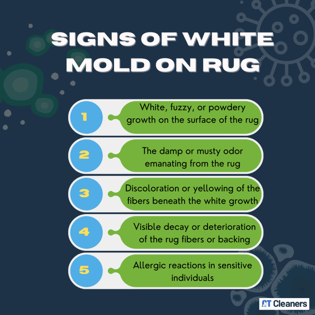 Signs of White Mold on Rug