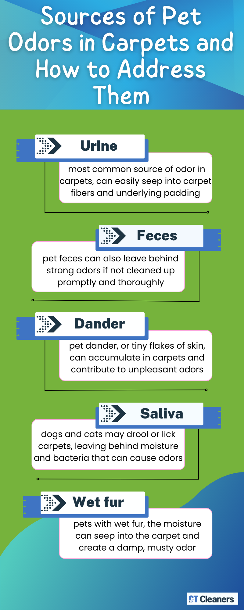 Sources of Pet Odors in Carpets and How to Address Them