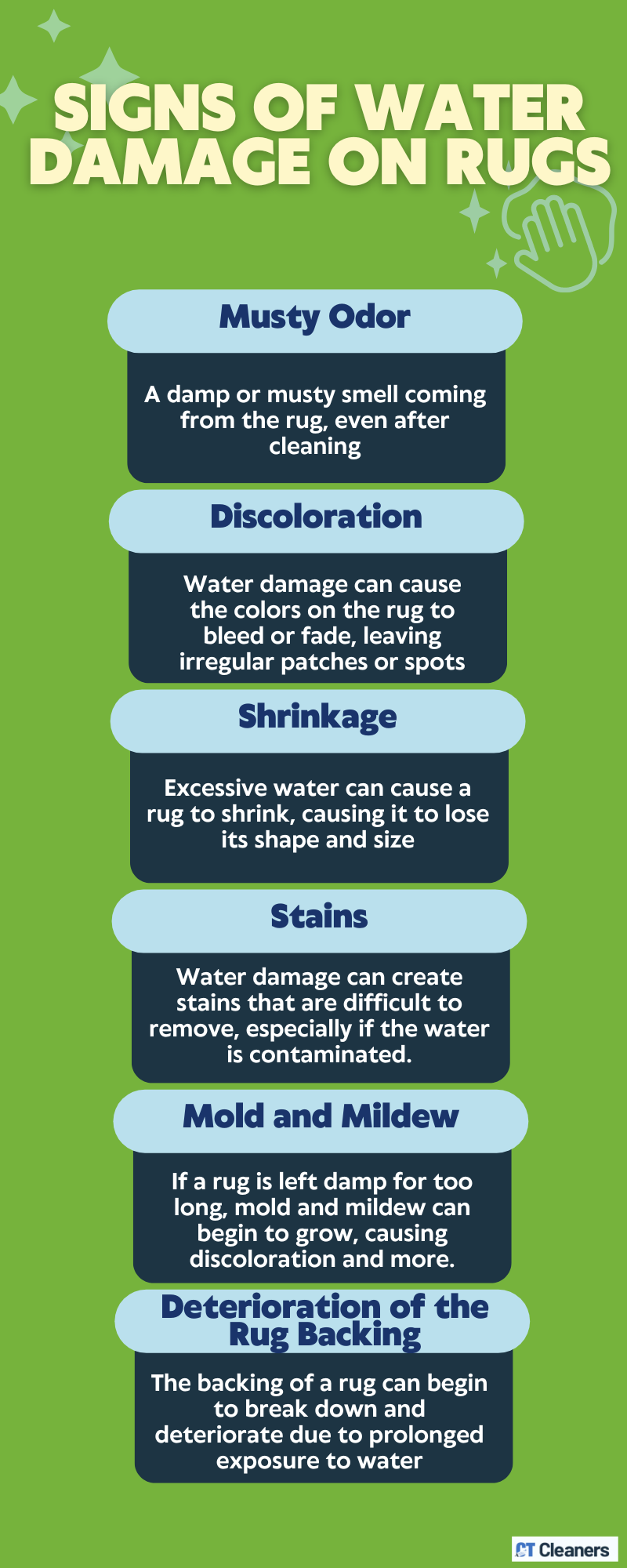 Signs of Water Damage on Rugs