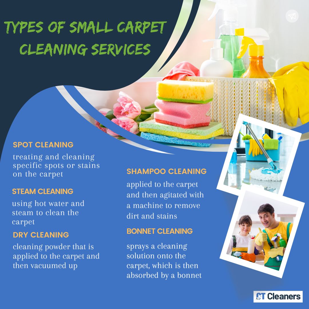Types of Small Carpet Cleaning Services