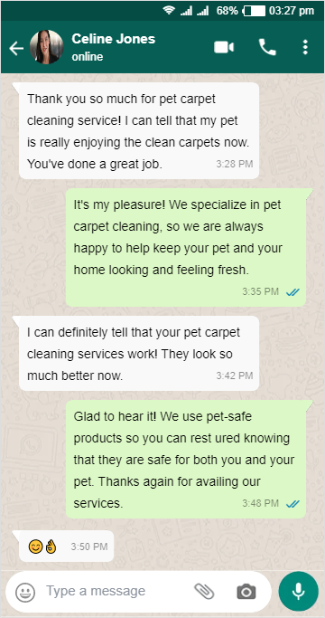 Pet Carpet Cleaning - Celine Jones