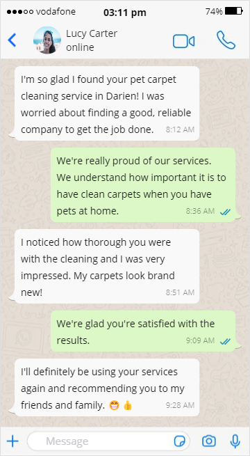 Pet Carpet Cleaning in Darien North - Lucy Carter