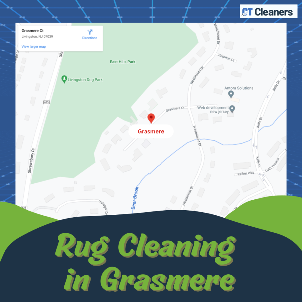 Rug Cleaning in Grasmere Map