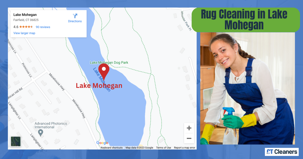 Rug Cleaning in Lake Mohegan