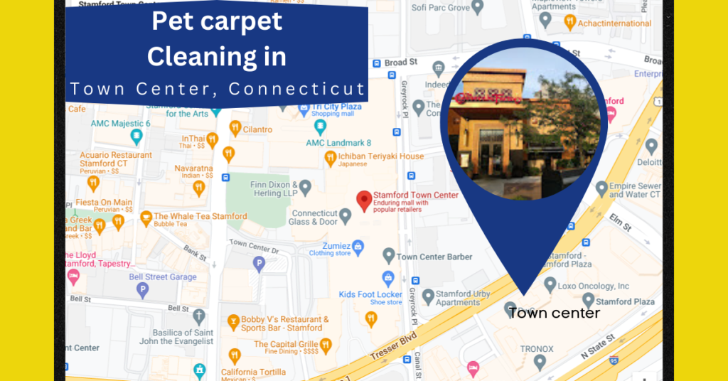 Pet Carpet Cleaning in Town Center map
