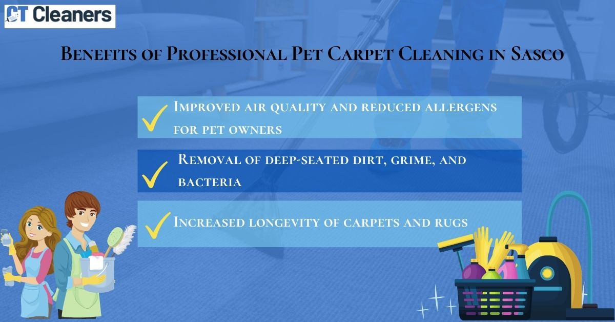 Pet Carpet Cleaning in Sasco