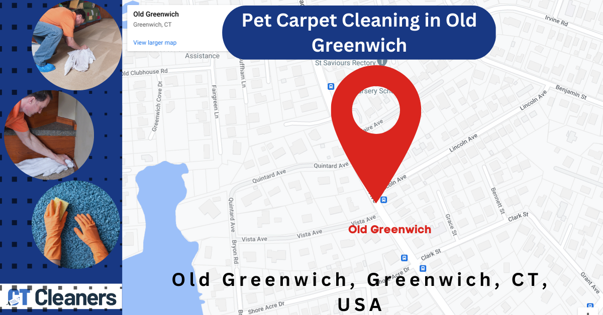 Carpet with Pets in Old Greenwich map
