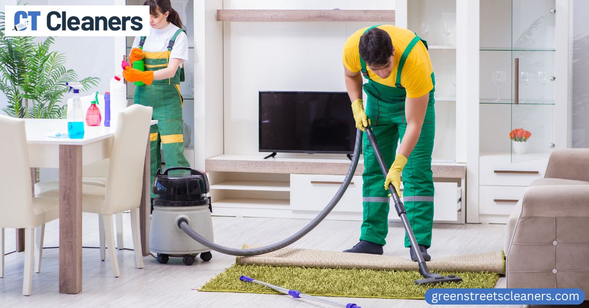 Pet Carpet Cleaning in Stamford