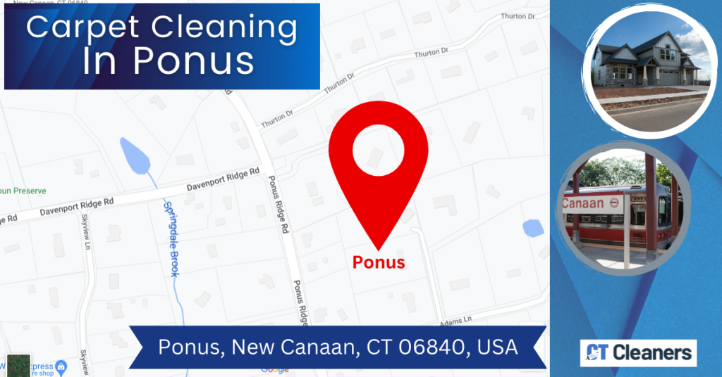 Carpet Cleaning In Ponus Map