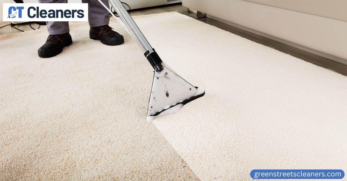 Pet Carpet Cleaning in Greenwich