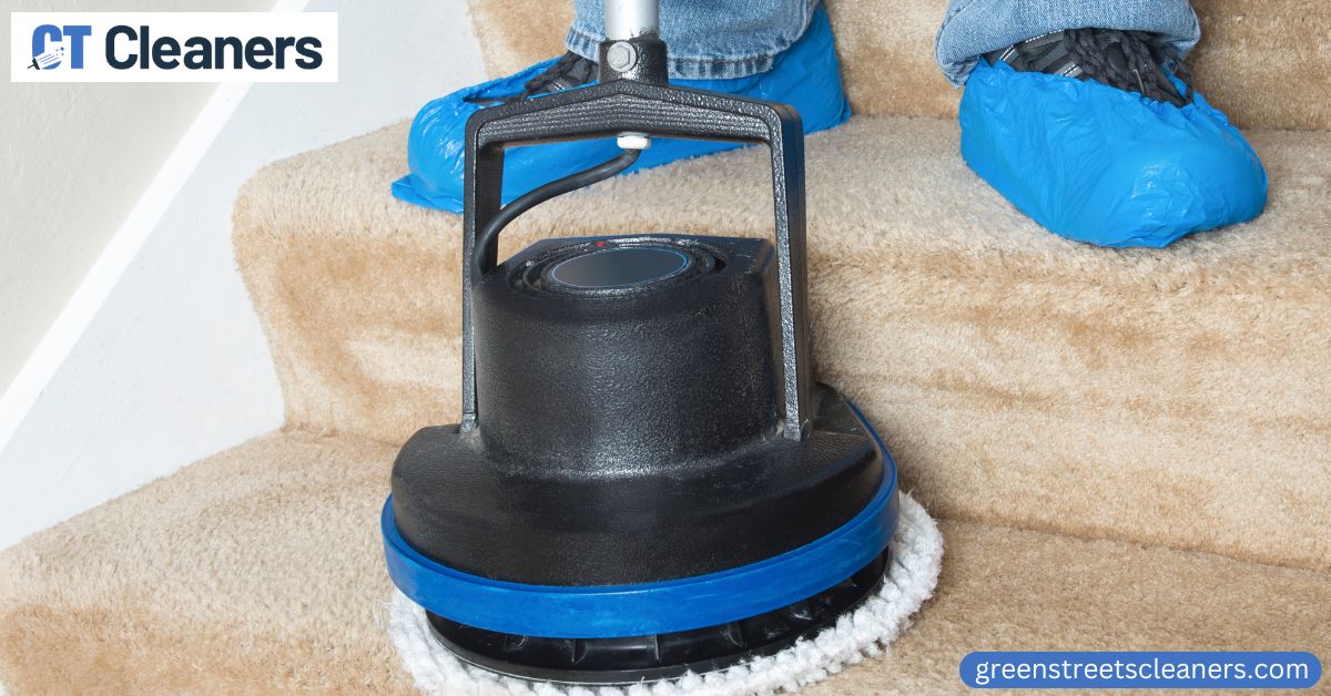 Pet Carpet Cleaning in Greenwich