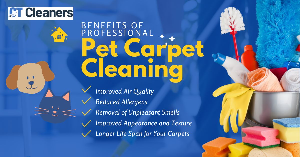 Benefits of Professional Pet Carpet Cleaning in Norwalk City Center