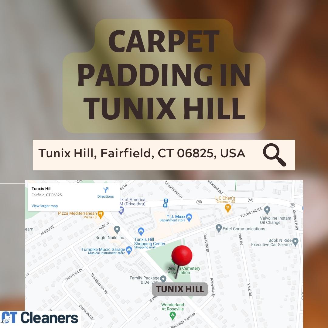 Carpet Padding in Tunix Hill Map