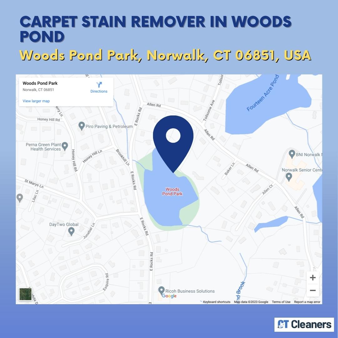 Carpet Stain Remover in Woods Pond