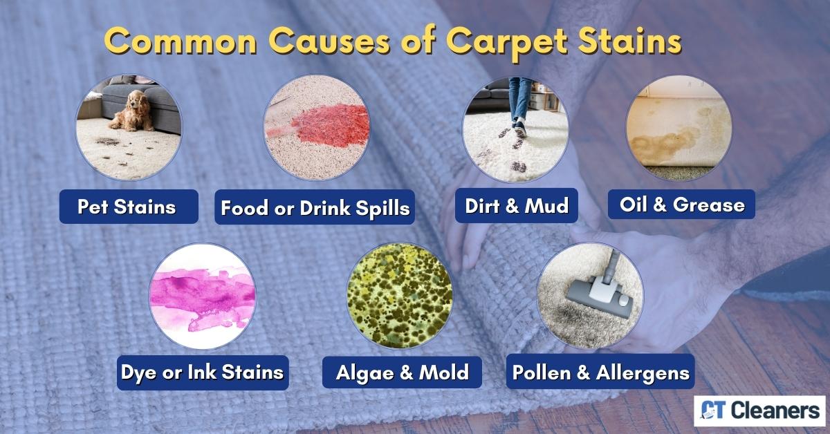 Common Causes of Carpet Stains