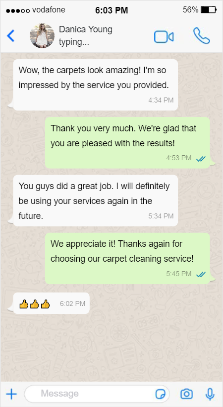 Carpet Cleaning - Danica Young