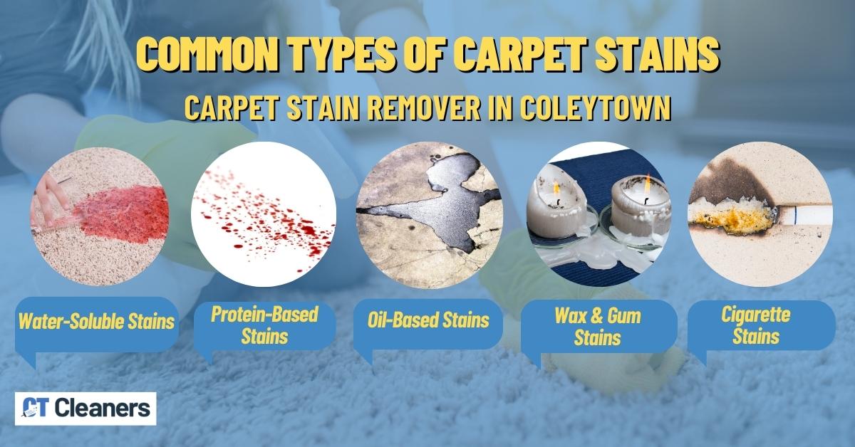Common Types of Carpet Stains