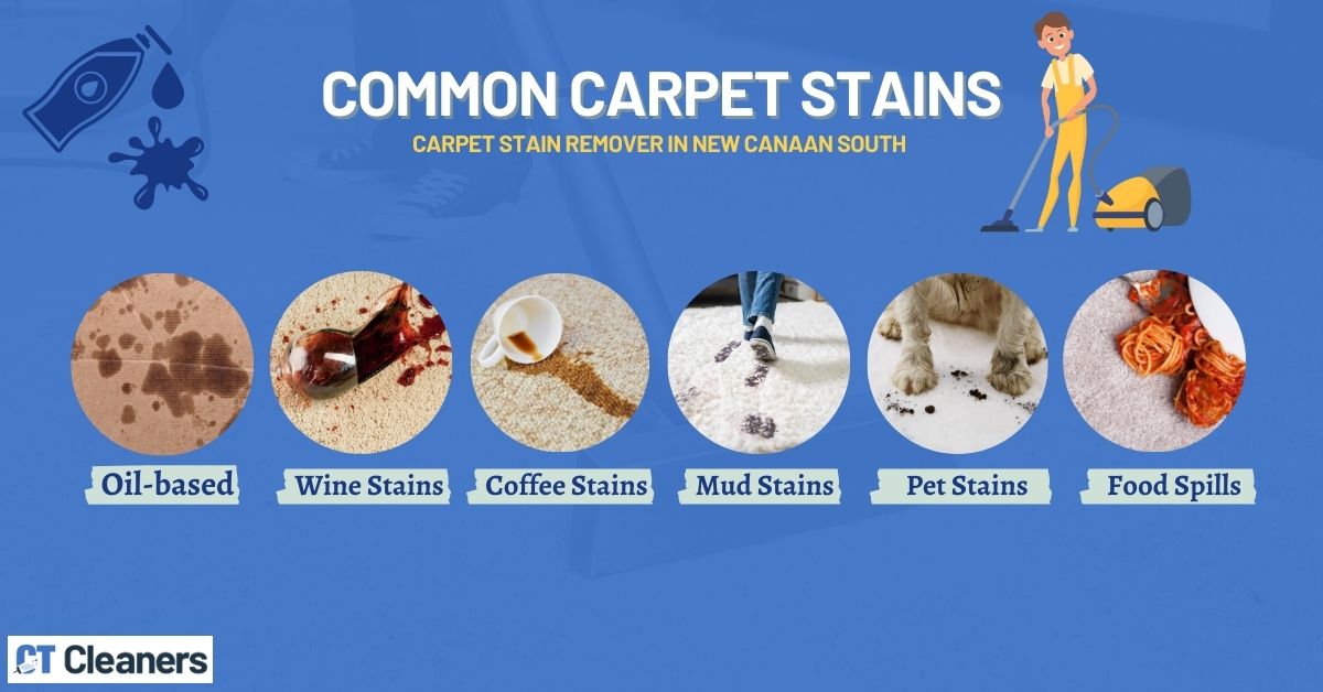 Carpet Stain Remover in New Canaan South