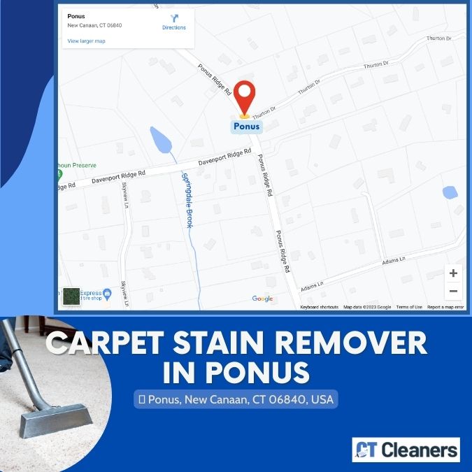 CT Cleaners Carpet Stain Remover in Ponus