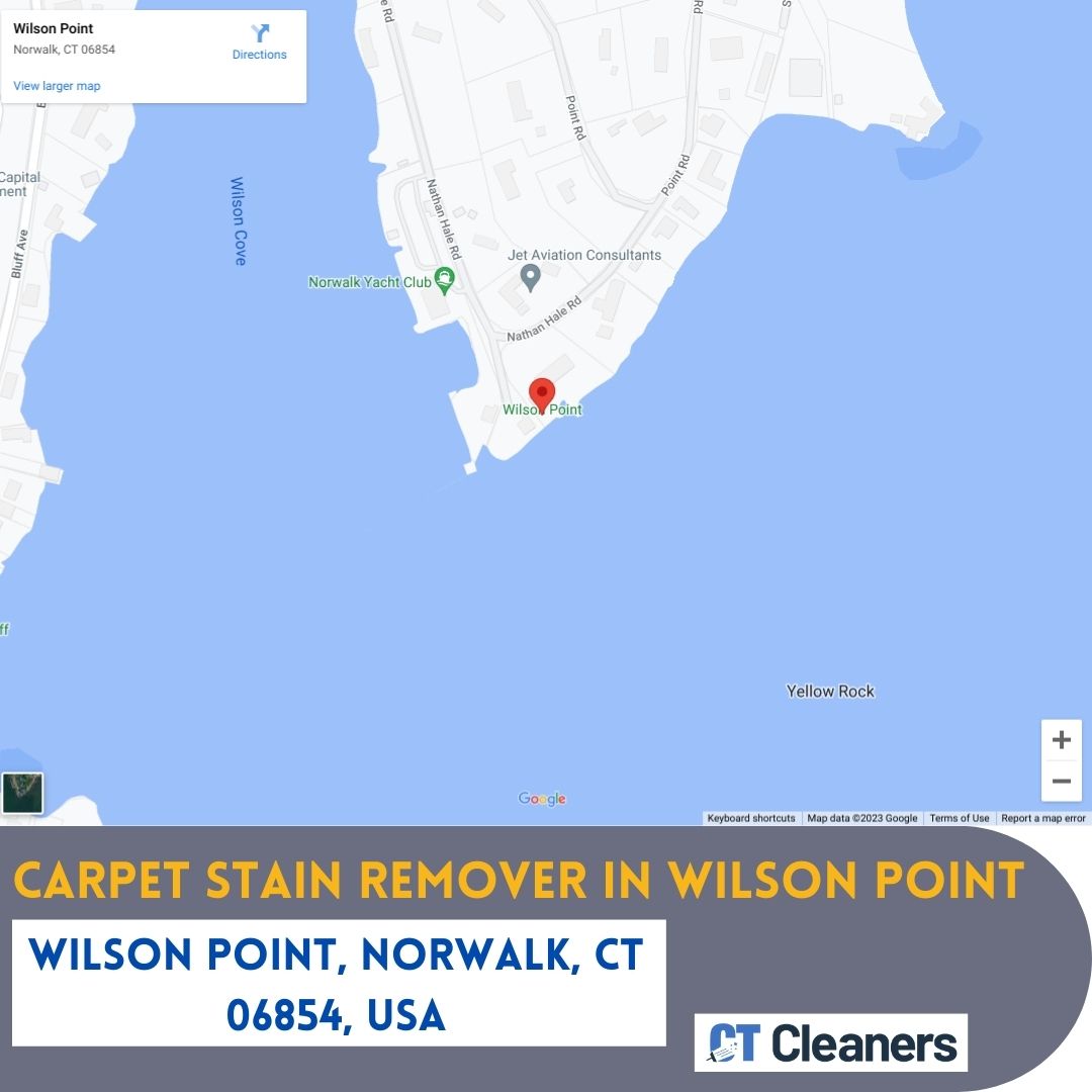 Carpet Stain Remover in Wilson Point