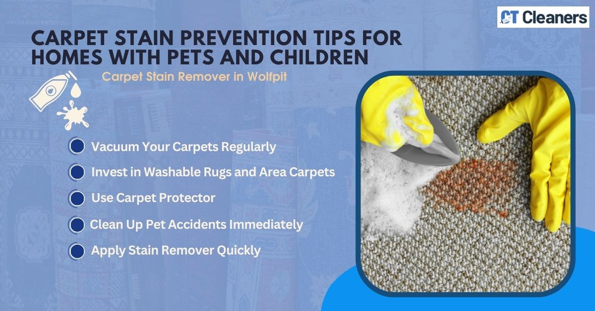 Carpet Stain Removers in Wolfpit