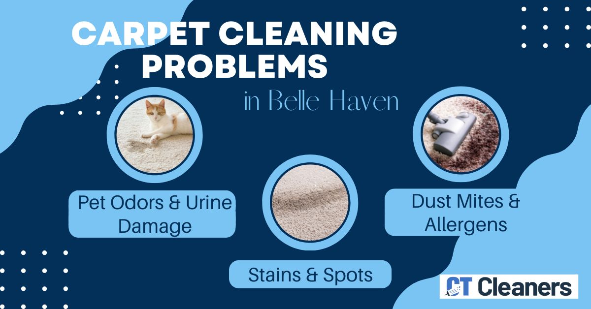 Carpet cleaning BEll Haven
