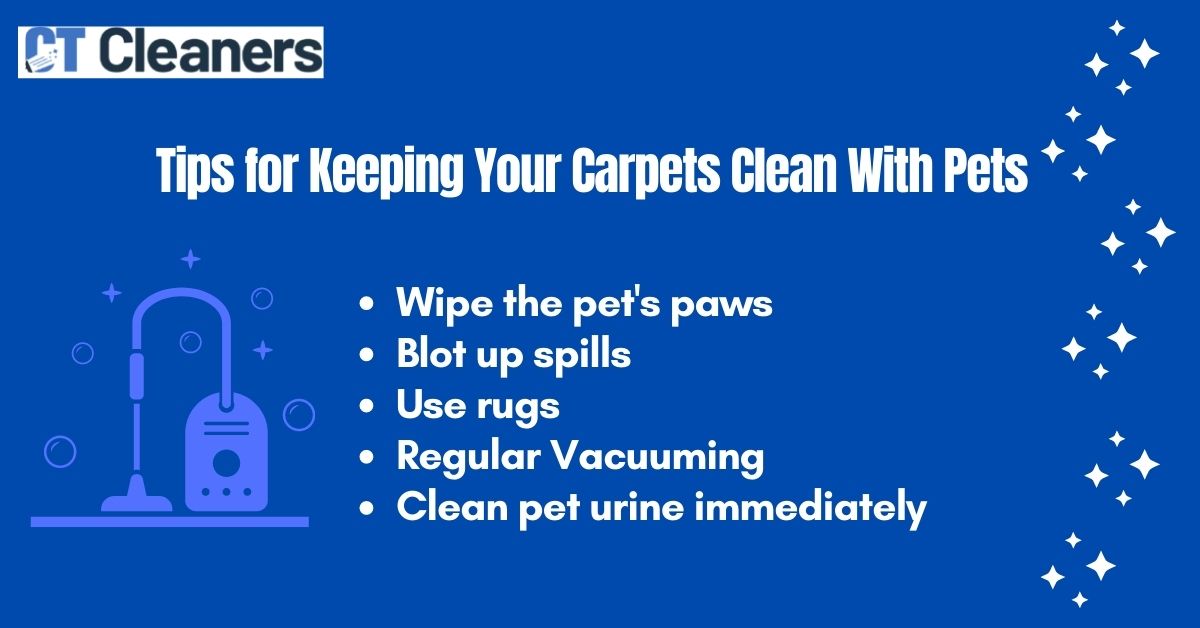Tips for Keeping Your Carpets Clean With Pets