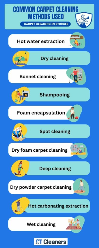 Common Carpet Cleaning Methods Used