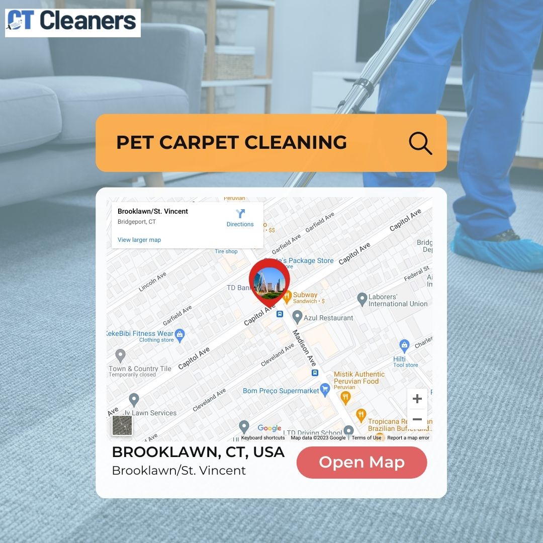 Pet Carpet Cleaning in Brooklawn