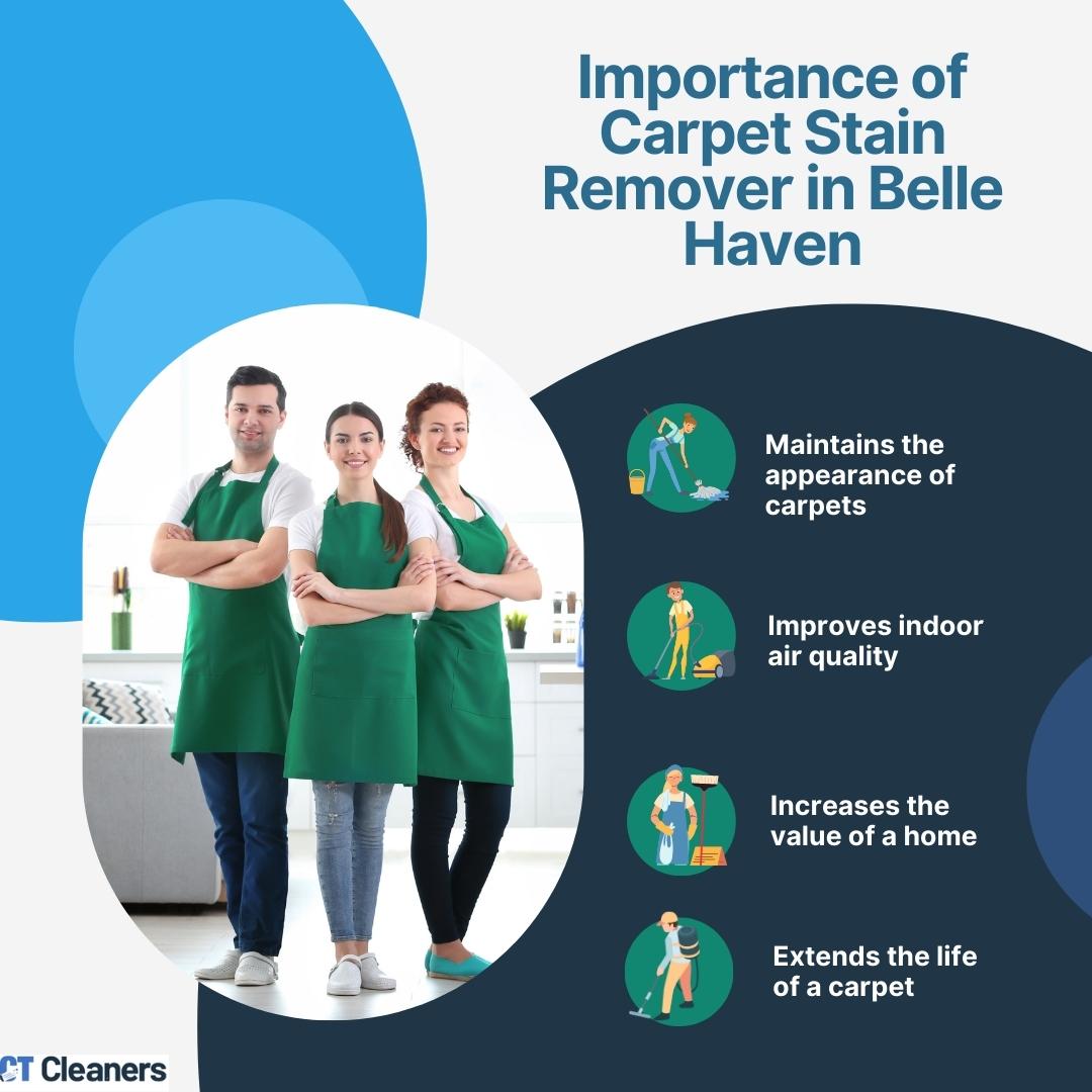 Importance of Carpet Stain Remover in Belle Haven