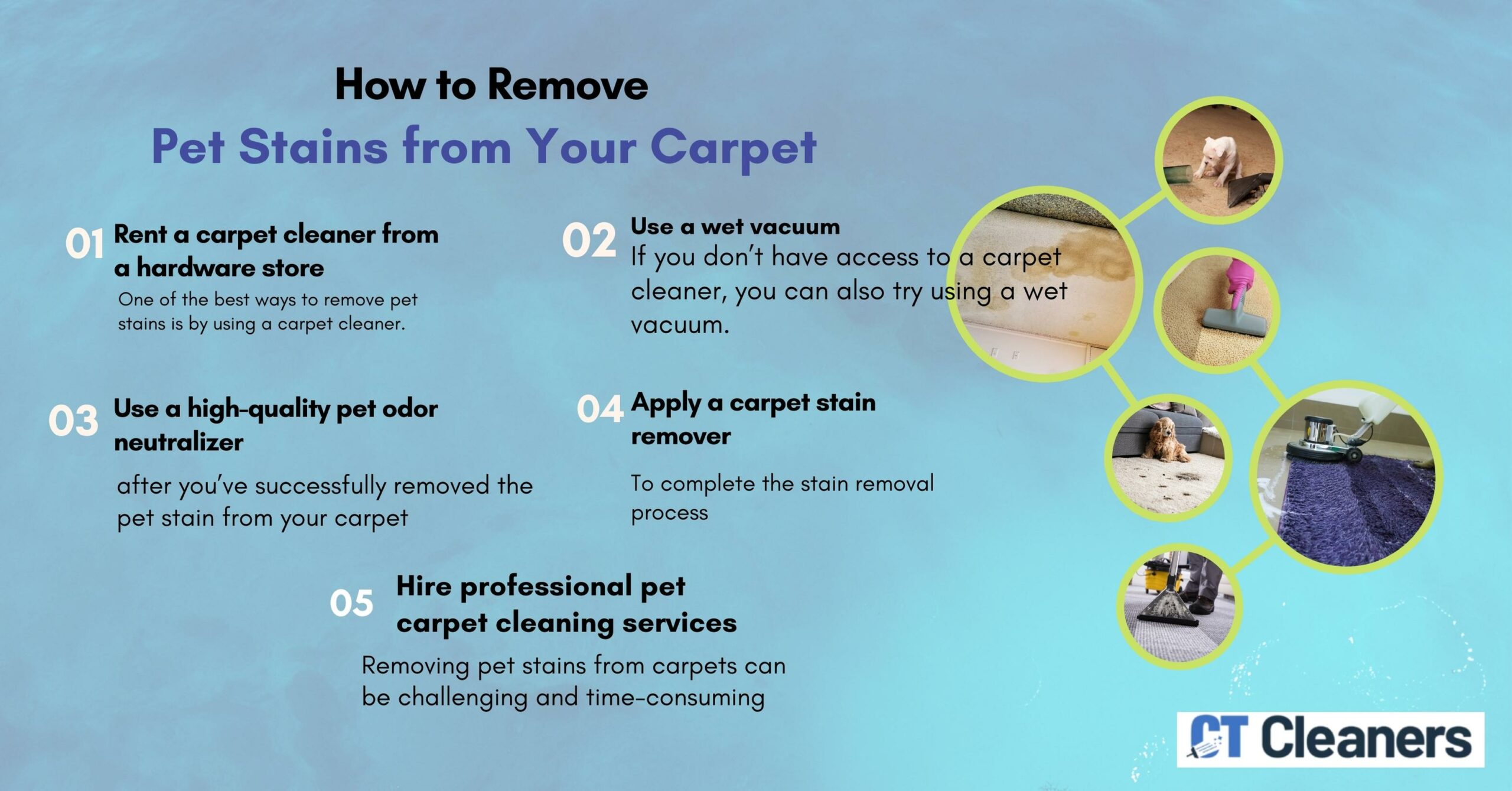 How to Remove Pet Stains from Your Carpet