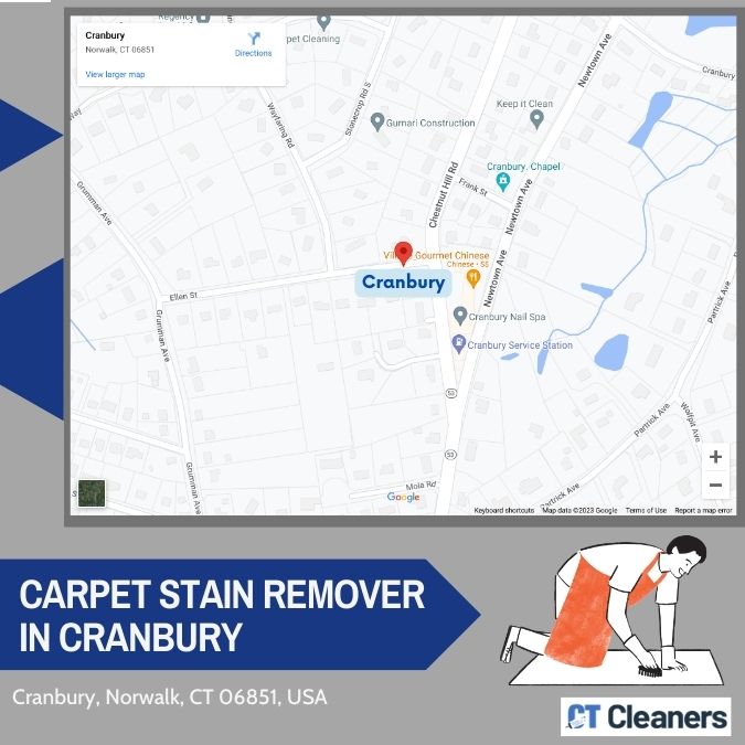 Carpet Stain Remover in Cranbury