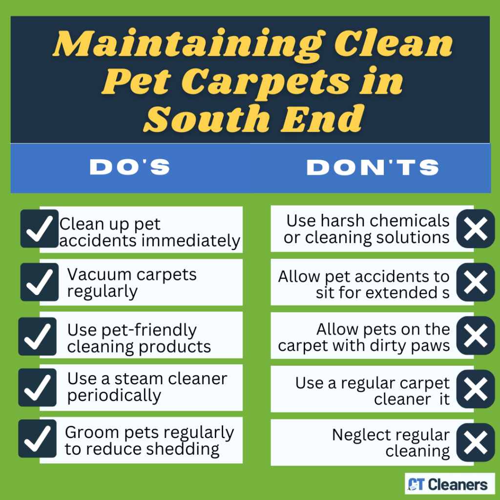 Maintaining Clean Pet Carpets in South End