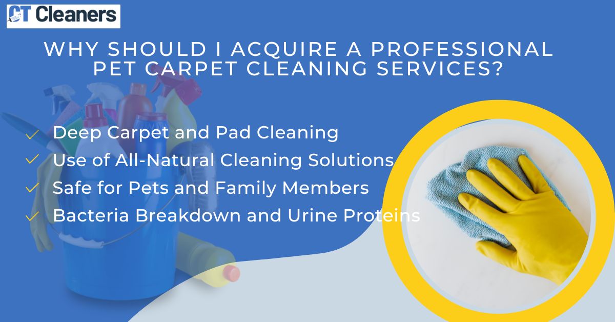 Pet Carpet Cleaning in Fairfield Center