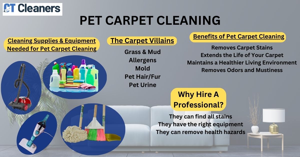 Pet Carpet Cleaning in Southport