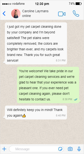 Pet Carpet Cleaning in Bridgeport - Caroline Laymans