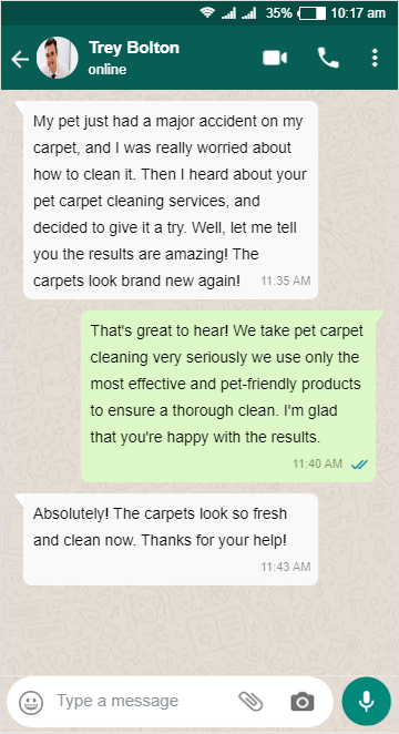 Pet Carpet Cleaning in Greenwich - Trey Bolton