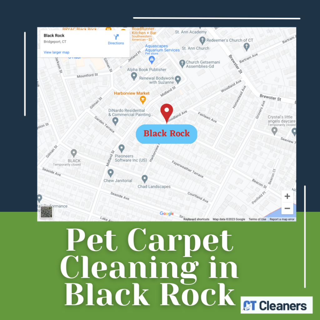 Pet Carpet Cleaning in Black Rock