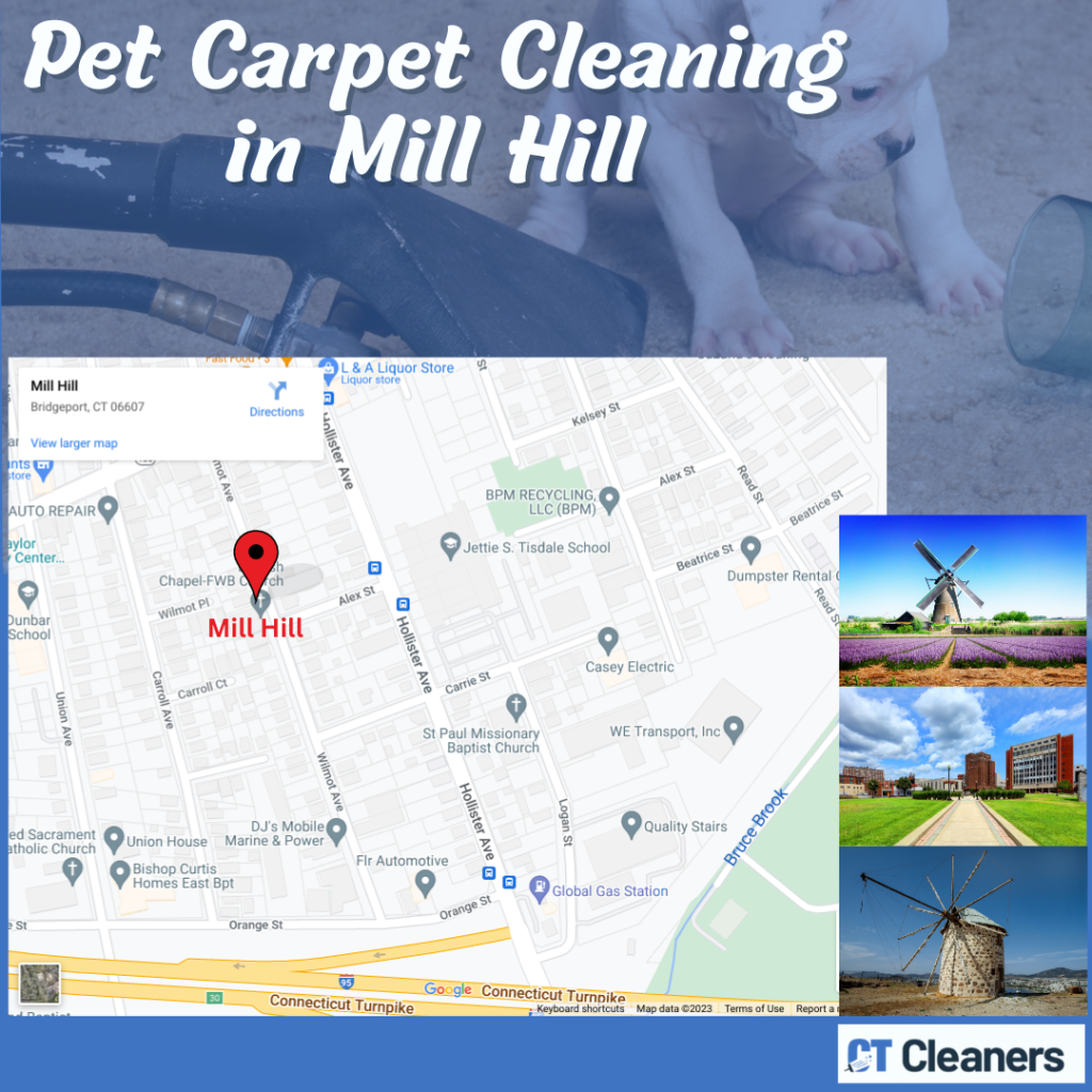 Pet Carpet Cleaning in Mill Hill Map