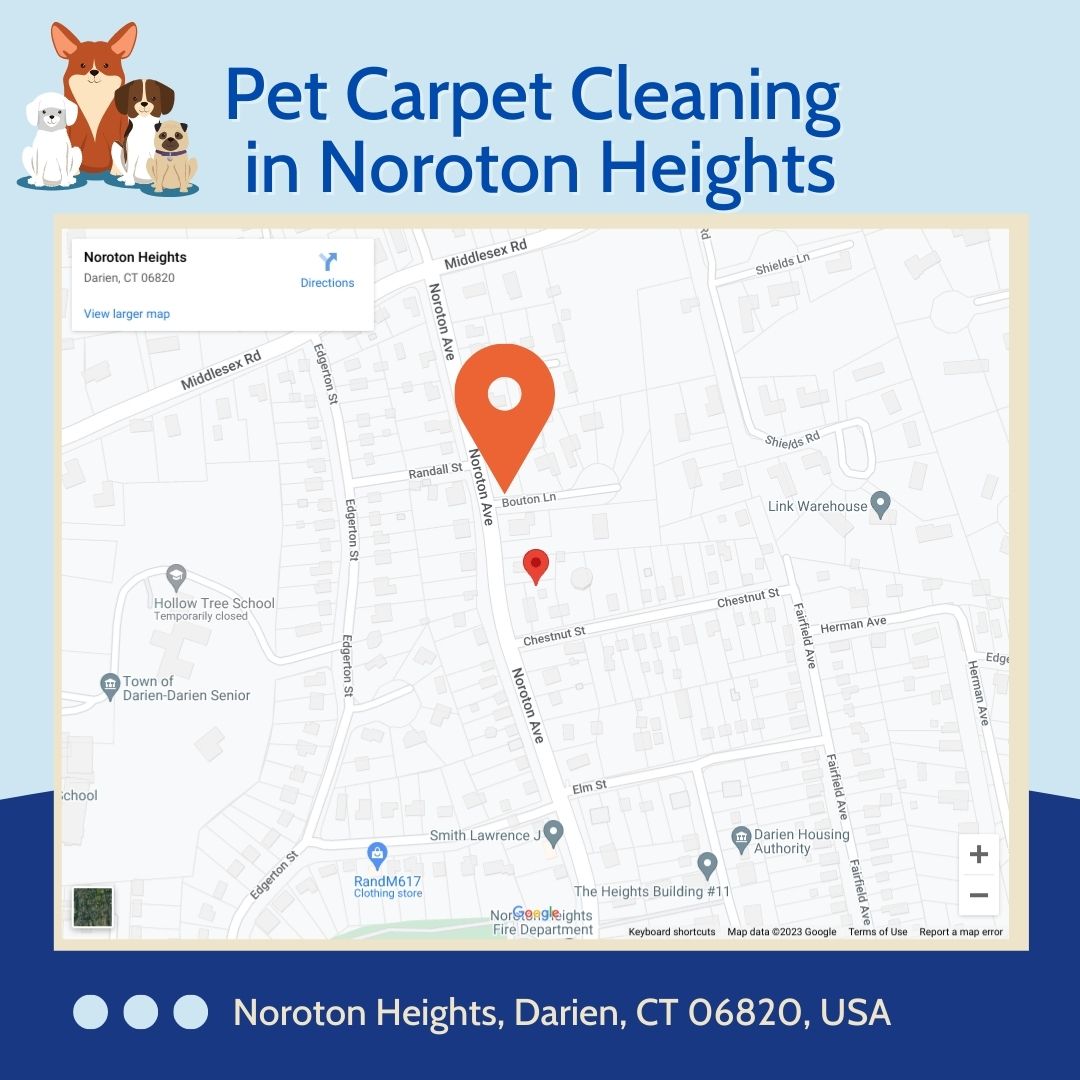 Pet Carpet Cleaning in Noroton Heights