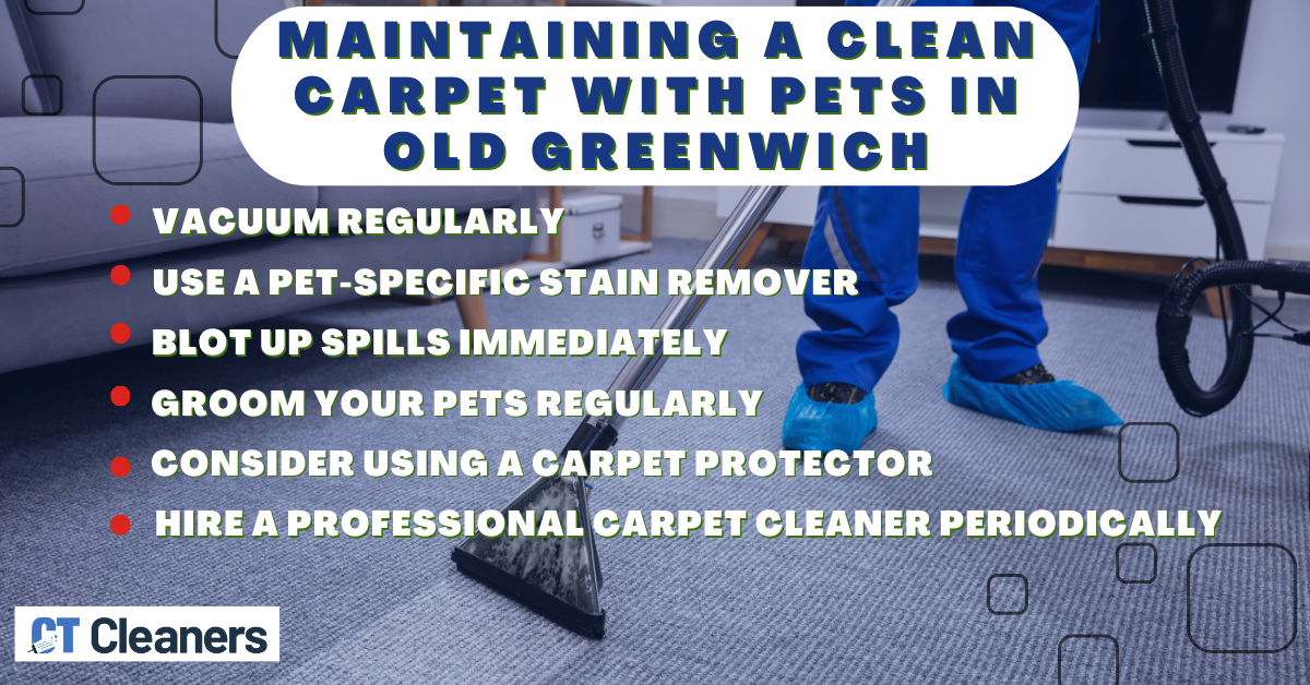 Pet Carpet Cleaning in Old Greenwich