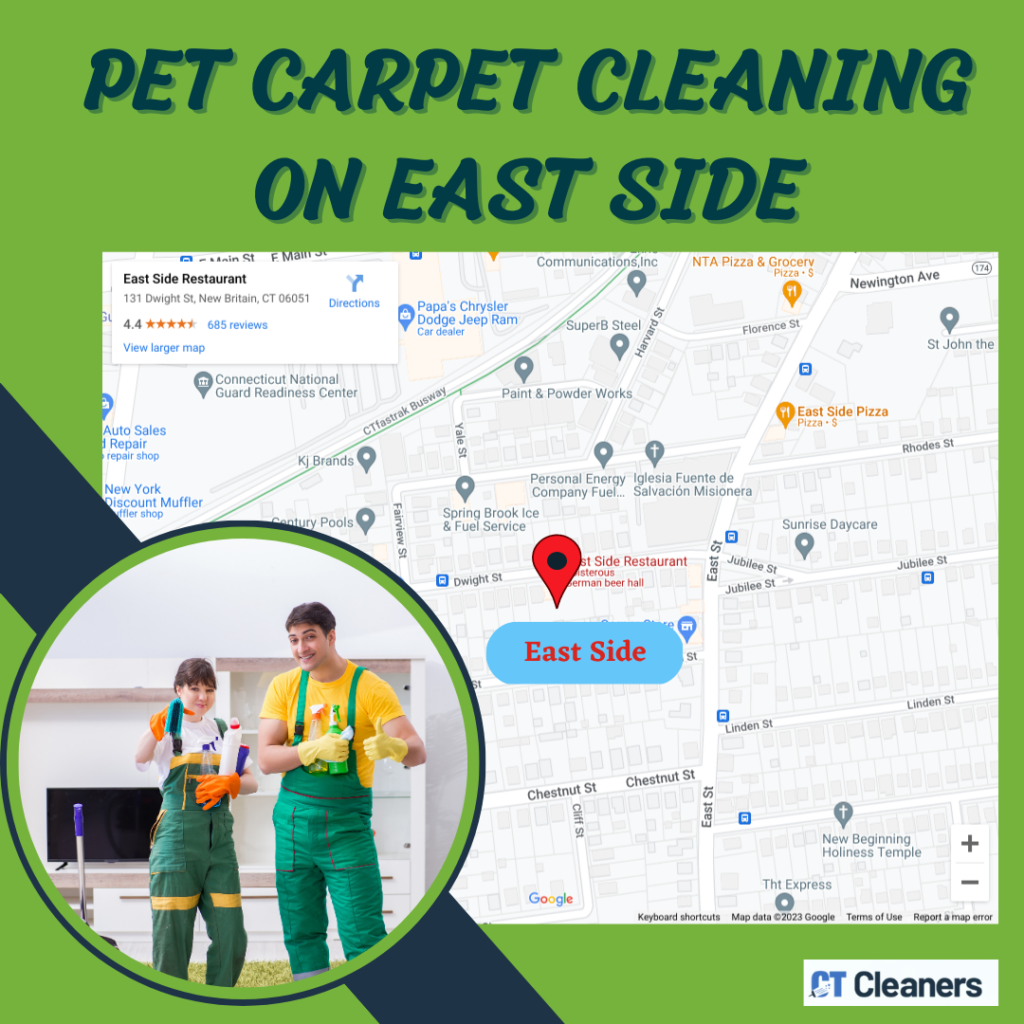 Pet Carpet Cleaning on East Side