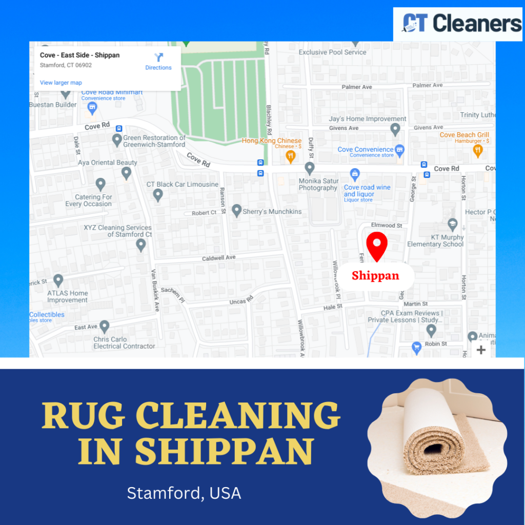 Rug Cleaning in Shippan