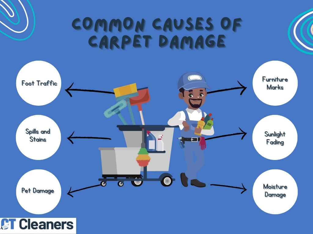 Common Causes of Carpet Damage