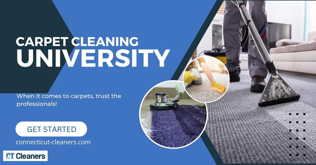Carpet Cleaning In University