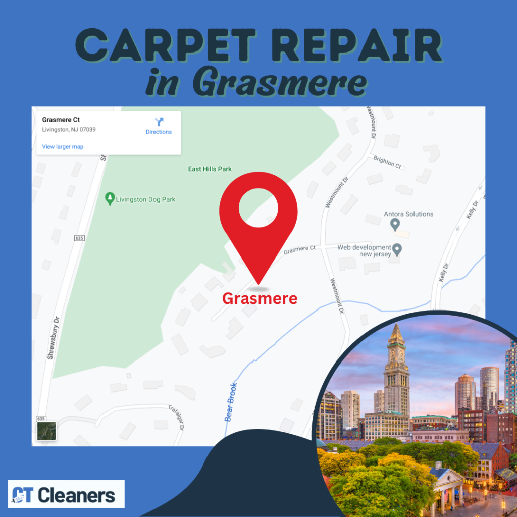 Carpet Repair in Grasmere Map