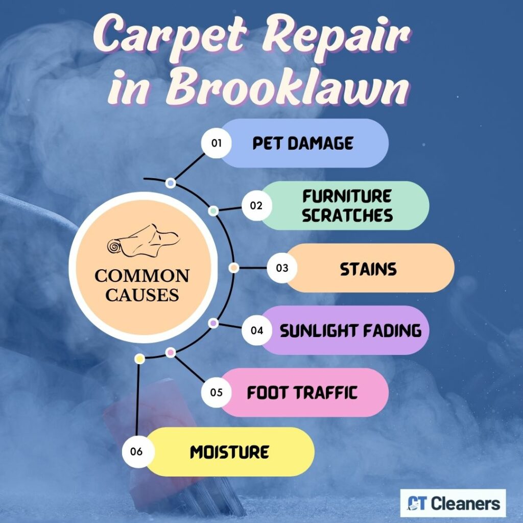 Common Causes of Damaged Carpets and How to Prevent Them (2)